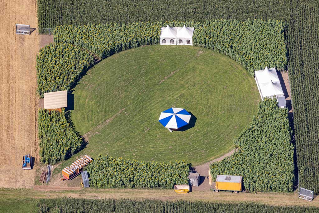 Arena im Sonnenblumenfeld