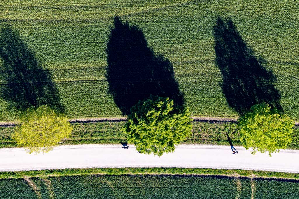 Spaziergänger mit Hund