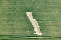 Seed breeding field