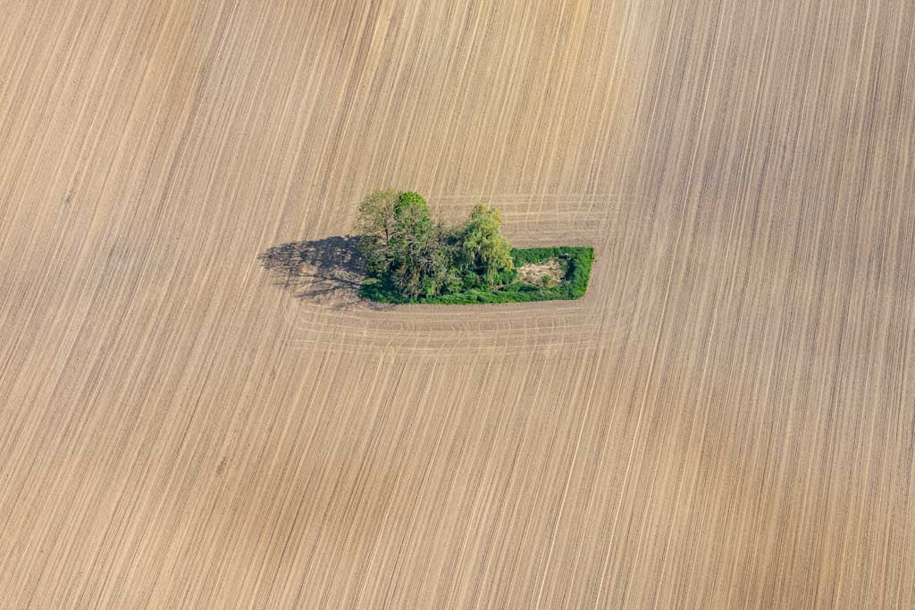 Grüne Insel in der Ackerfläche