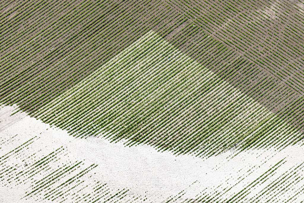 Grafik auf dem Acker