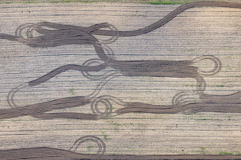 Tracks in the field 