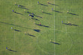 Long Shadows