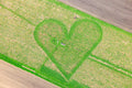 Heart in the field