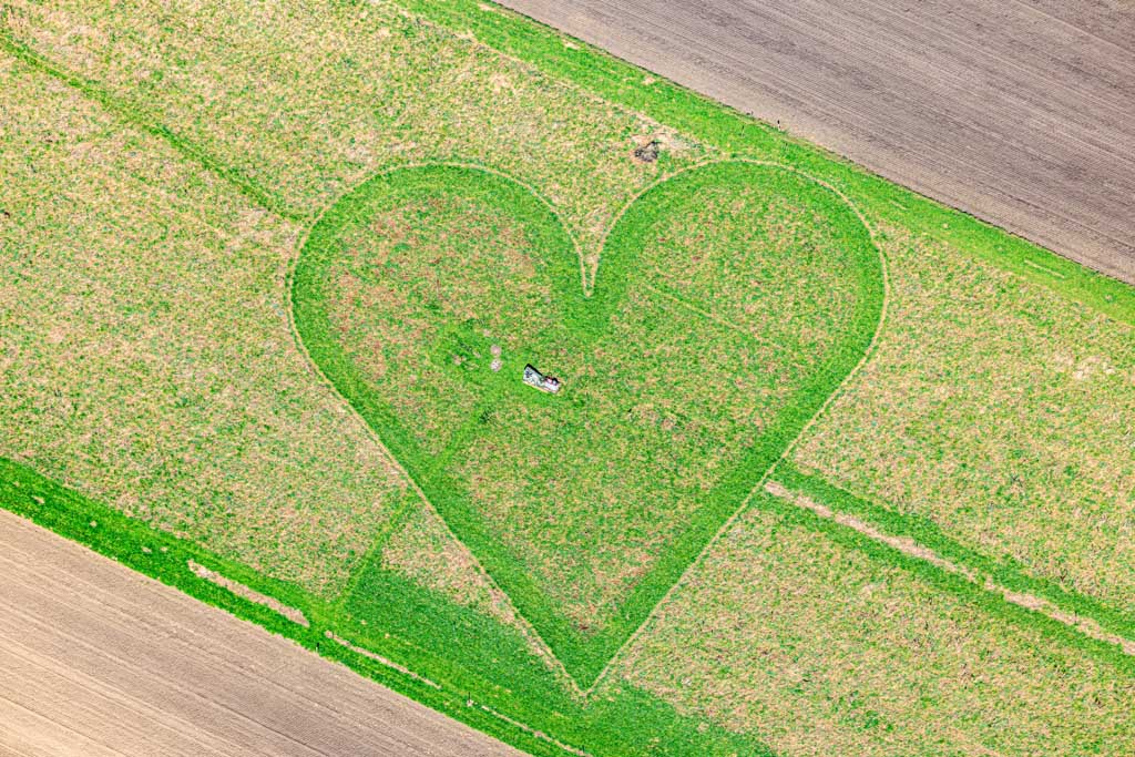 Heart in the field