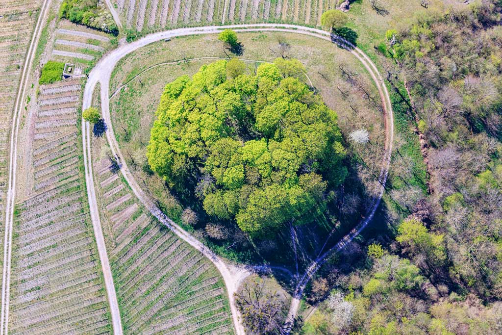 Turmhügel Altkastell