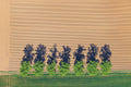 Row of trees at the edge of the field