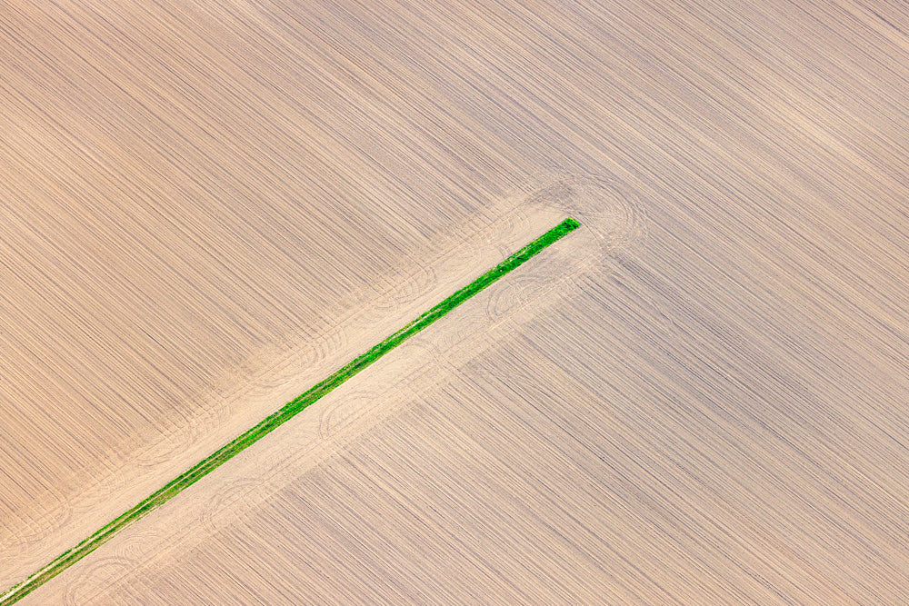 Grüner Streifen