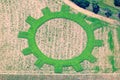 Circular figure in the field