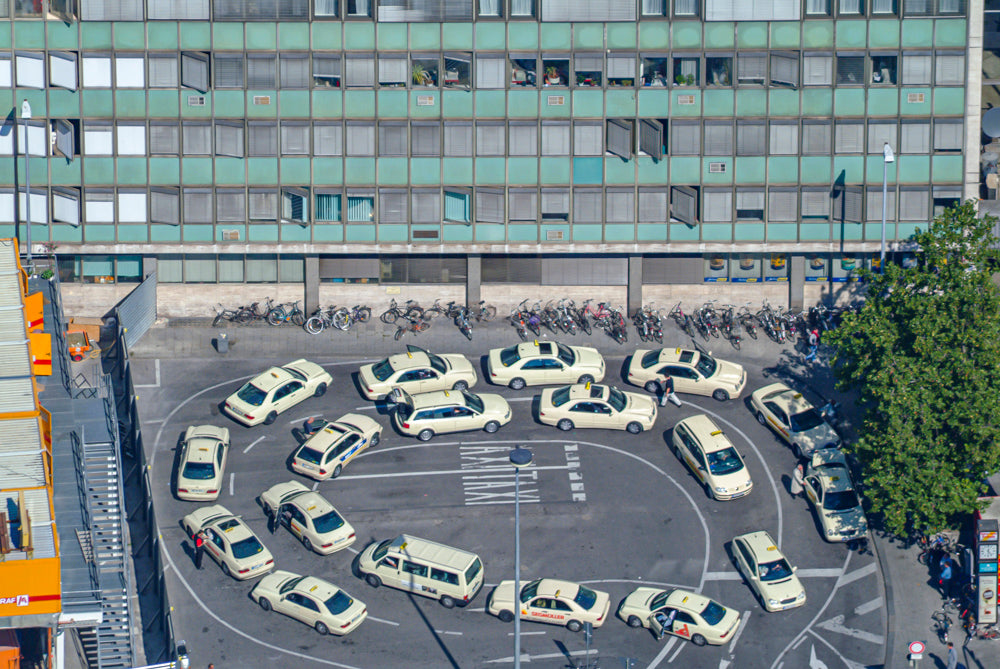 Taxischlange