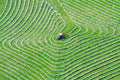 Roter Traktor beim Heuwenden