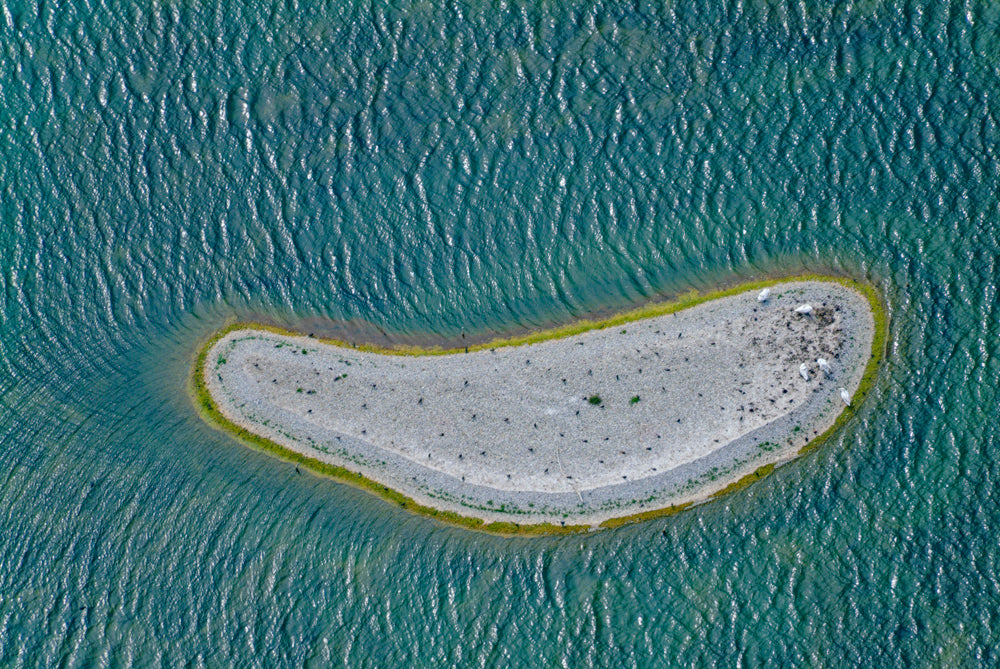 Vogelinsel im Baggersee