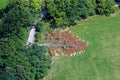 Gefallener Baum