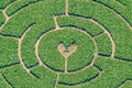 Maislabyrinth mit Herz