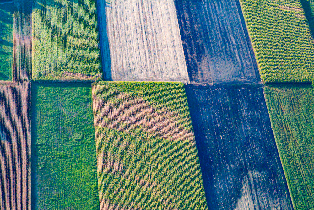 Maisfeldpatchwork