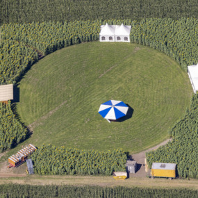 Arena im Sonnenblumenfeld - Klaus Leidorf