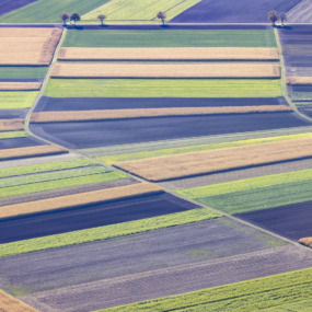 Felder bei Ismaning - Klaus Leidorf