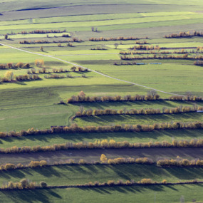 Heckenlandschaft im Herbst - Klaus Leidorf