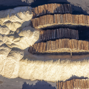 Holzlagerplatz mit Sägespänen der Ladenburger Holzwerke - Klaus Leidorf