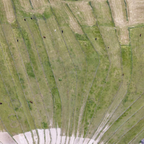 Koppeln des Reitervereins Diederstetten - Klaus Leidorf