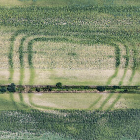 Luftaufnahme von positiven Bewuchsmerkmalen eines späthallstattzeitlichen Herrenhofes in einem Maisfeld bei Osterhofen-Galgweis