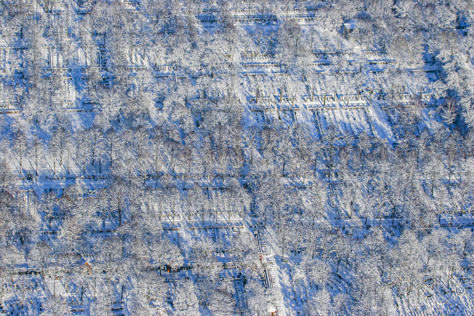 Nordfriedhof in München-Schwabing im Winter - Klaus Leidorf