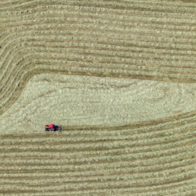 Roter Traktor beim Heuwenden - Klaus Leidorf