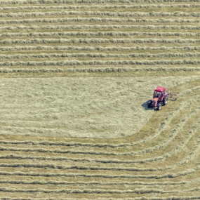 Roter Traktor beim Heuwenden - Klaus Leidorf