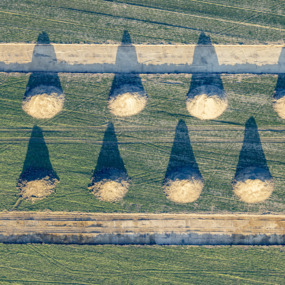 Suchschnitte in einer Siedlungsstelle - Klaus Leidorf