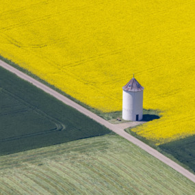 Wasserturm am blühenden Rapsfeld - Klaus Leidorf