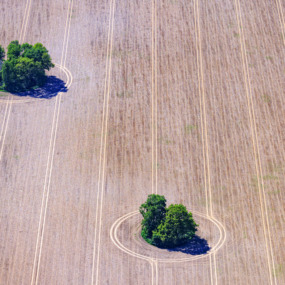 Zwei Inseln im Ackerland - Klaus Leidorf