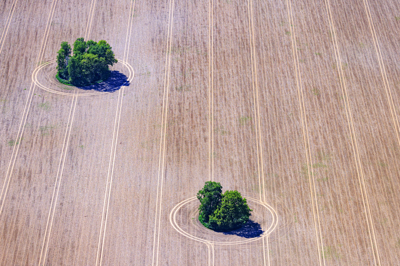Zwei Inseln im Ackerland - Klaus Leidorf